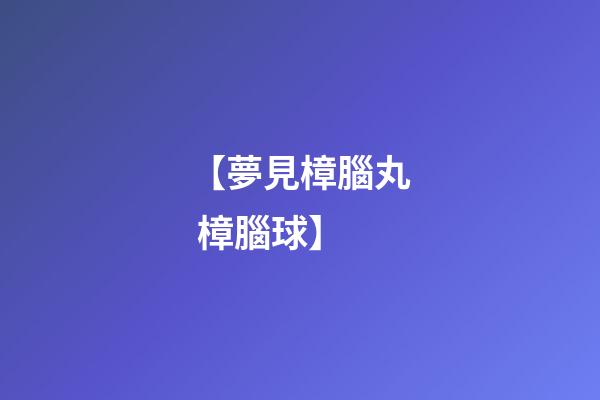 【夢見樟腦丸 樟腦球】